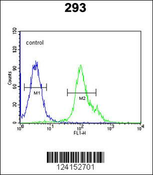 NXPH1 Antibody (N-term)