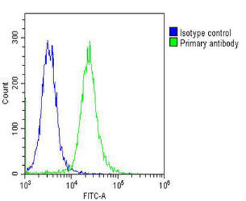 HBA2 Antibody (Center)