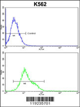 CROT Antibody (N-term)