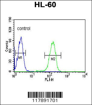 PLVAP Antibody (Center)