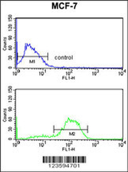 DAGLB Antibody (Center)