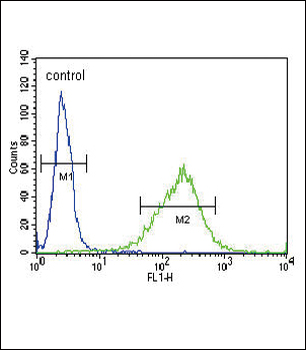GABRA2 Antibody (C-term)