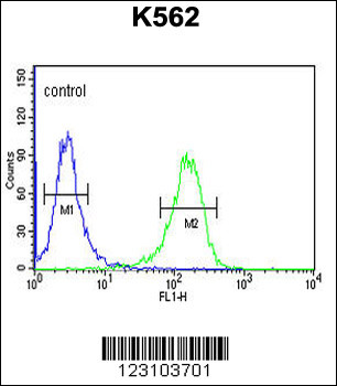 TSPEAR Antibody (Center)