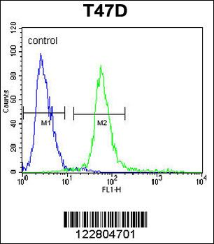 KCTD12 Antibody (Center)