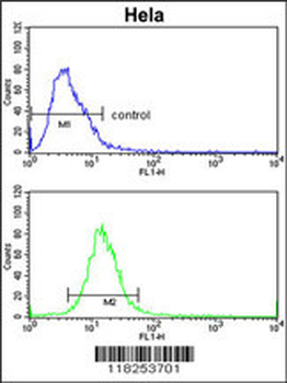 ADH6 Antibody (Center)