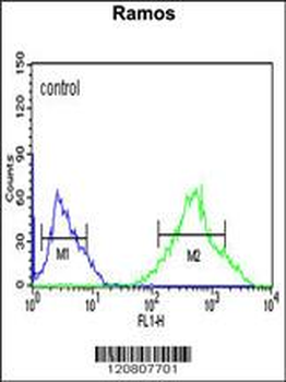 GSTP1 Antibody (Center)