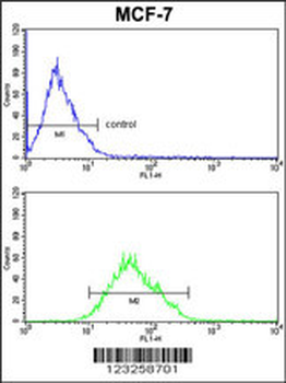COX5A Antibody (Center)