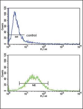 CSF3R Antibody (Center)