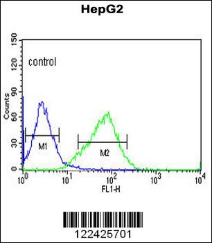 OR2H2 Antibody (C-term)