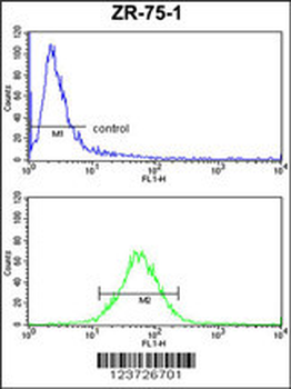 E2F5 Antibody (N-term)