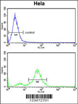 DAB2 Antibody (C-term)