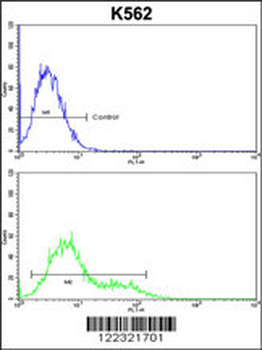 INPP4B Antibody (Center)