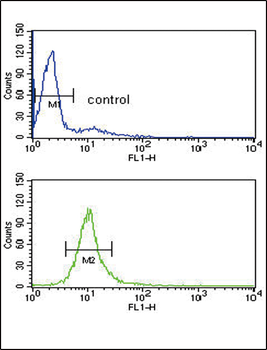 CYP51A1 Antibody (Center)