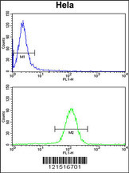 UHRF1 Antibody (Center)