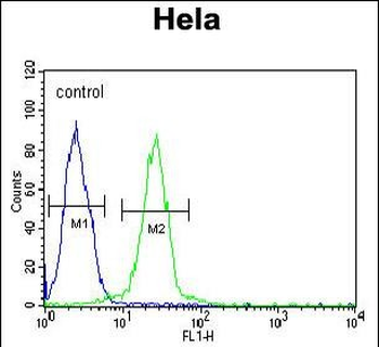 EWSR1 Antibody (C-term)