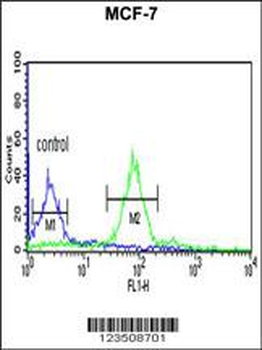 HIST1H2AH Antibody (N-term)