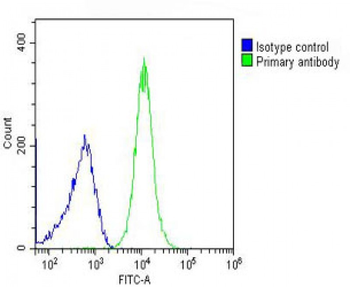 SCNN1A Antibody (Center)