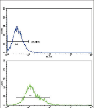 CYP8B1 Antibody (C-term)