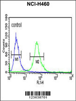 ITGBL1 Antibody (Center)