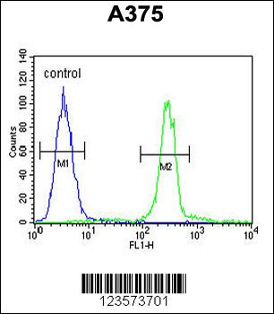 CTHRC1 Antibody (N-term)