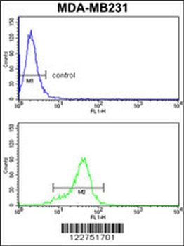 AGPAT4 Antibody (Center)