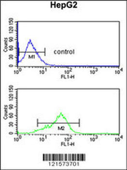 BANK1 Antibody (Center)