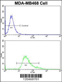 HSPC142 Antibody (Center)
