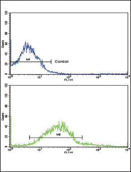ADH5 Antibody (Center)