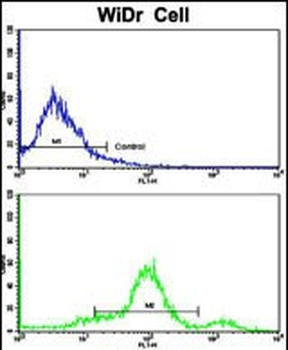 CCHCR1 Antibody (Center)