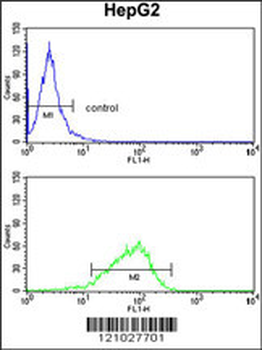 GPD1 Antibody (N-term)