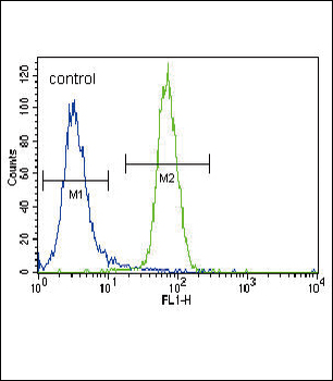 RUNX2 Antibody (S533)