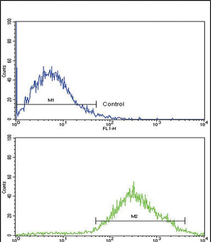 TYRO10 Antibody