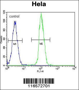 TrkA-pY791 Antibody