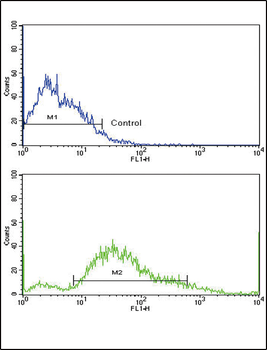 PDGFRB Antibody (N-term)