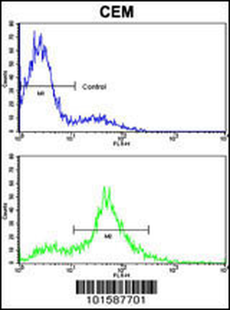 EphA4 Antibody (N-term)