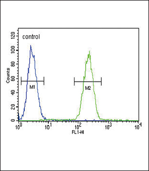 GIPR Antibody (N-term)