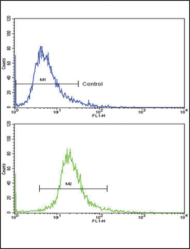 GPT Antibody (N-term P101)