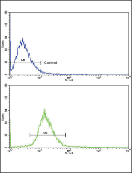 VTN Antibody (C-term)