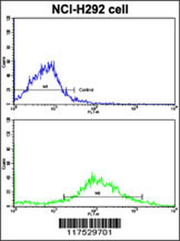 CYP20A1 Antibody (C-term)