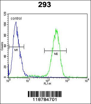TMPRSS2 Antibody (N-term)