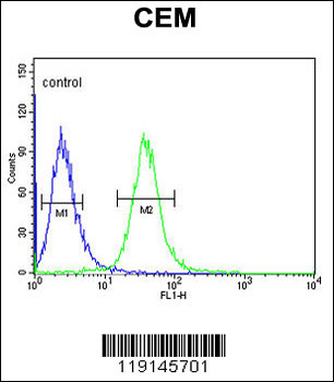 SMYD3 Antibody (Center)