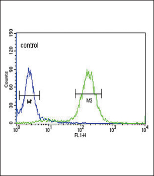 PCSK9 Antibody (C-term)