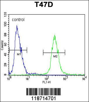 FGG Antibody (C-term)