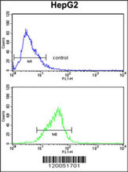 FOSB Antibody (Center P137)
