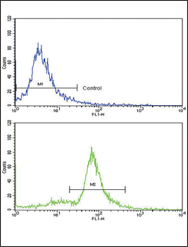 MCCC2 Antibody (Center)