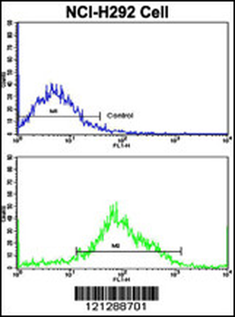 MyoGEF Antibody (N-term)