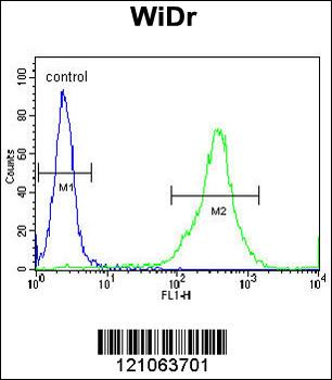 FAM3B Antibody (N-term)