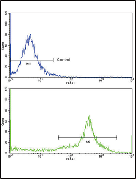 HLA-DRB1 Antibody (N-term)