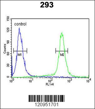ESPN Antibody (N-term)