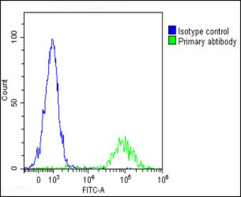 IL1A Antibody (Center)